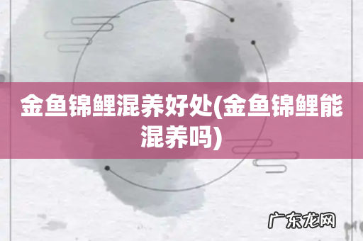 金鱼锦鲤能混养吗 金鱼锦鲤混养好处
