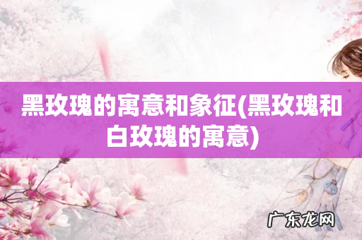 黑玫瑰和白玫瑰的寓意 黑玫瑰的寓意和象征