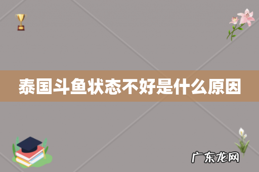 泰国斗鱼状态不好是什么原因
