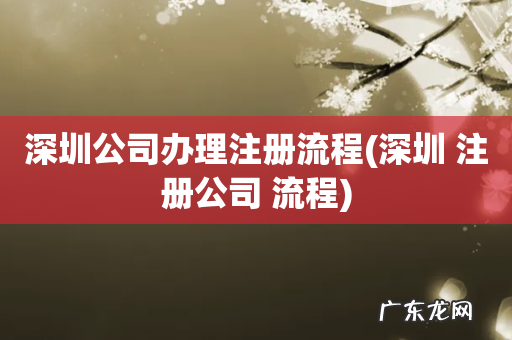 深圳 注册公司 流程 深圳公司办理注册流程
