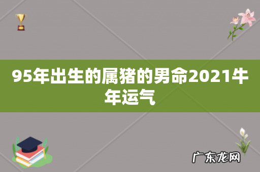 95年出生的属猪的男命2021牛年运气