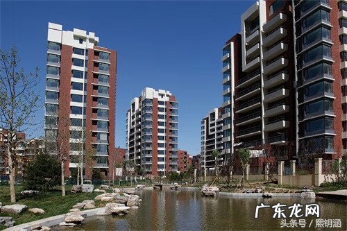 风水中的龙 属龙住房楼层选最佳风水