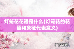 灯笼花的花语和象征代表意义 灯笼花花语是什么