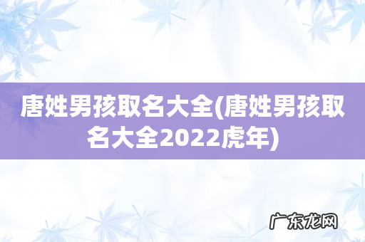 唐姓男孩取名大全2022虎年 唐姓男孩取名大全