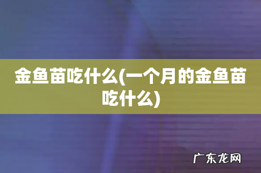 一个月的金鱼苗吃什么 金鱼苗吃什么