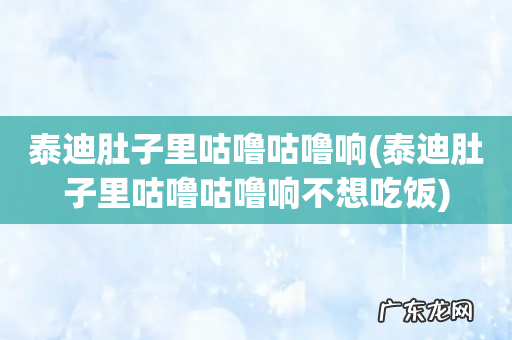 泰迪肚子里咕噜咕噜响不想吃饭 泰迪肚子里咕噜咕噜响