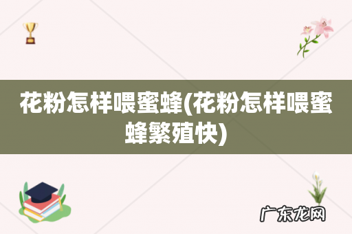 花粉怎样喂蜜蜂繁殖快 花粉怎样喂蜜蜂