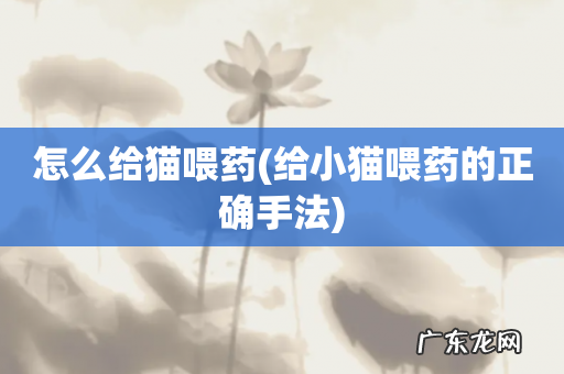 给小猫喂药的正确手法 怎么给猫喂药