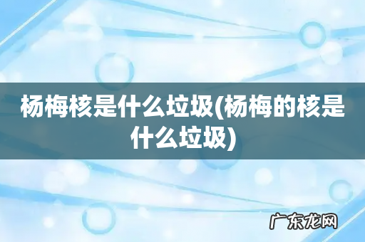 杨梅的核是什么垃圾 杨梅核是什么垃圾