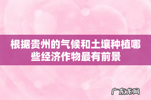 根据贵州的气候和土壤种植哪些经济作物最有前景