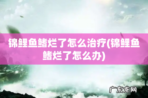 锦鲤鱼鳍烂了怎么办 锦鲤鱼鳍烂了怎么治疗