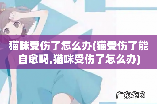 猫受伤了能自愈吗,猫咪受伤了怎么办 猫咪受伤了怎么办