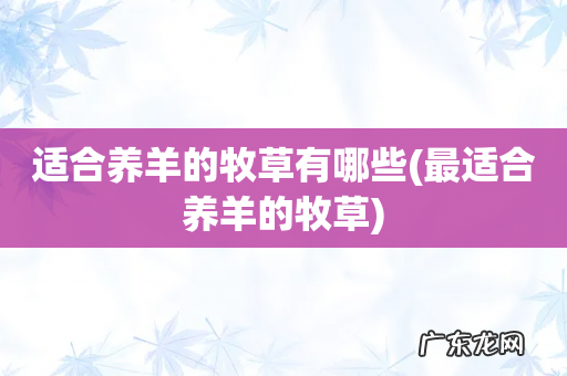 最适合养羊的牧草 适合养羊的牧草有哪些