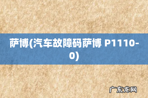 汽车故障码萨博 P1110-0 萨博