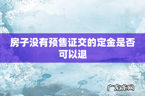 房子没有预售证交的定金是否可以退