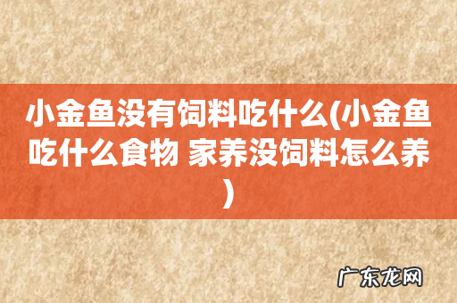 小金鱼吃什么食物 家养没饲料怎么养 小金鱼没有饲料吃什么