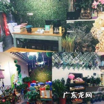 湖南涉外经济学院好吗 湖南涉外经济学院地址在哪