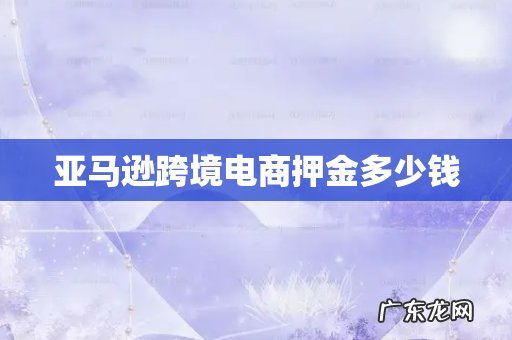 亚马逊跨境电商押金多少钱