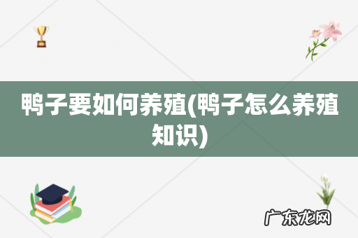 鸭子怎么养殖知识 鸭子要如何养殖
