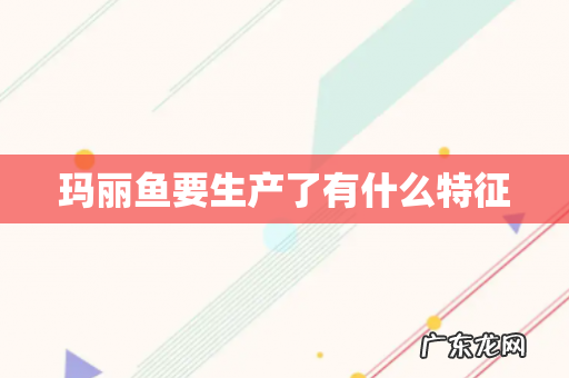 玛丽鱼要生产了有什么特征