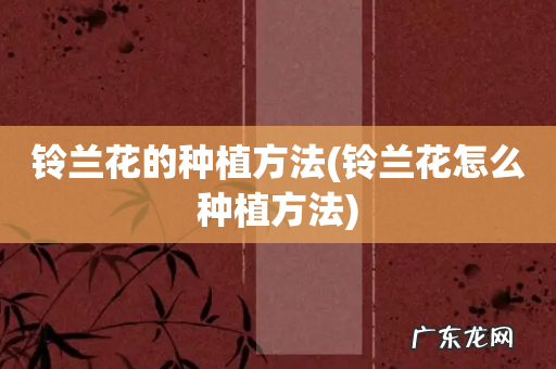 铃兰花怎么种植方法 铃兰花的种植方法