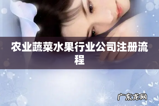 农业蔬菜水果行业公司注册流程