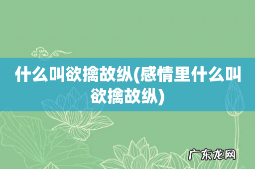 感情里什么叫欲擒故纵 什么叫欲擒故纵