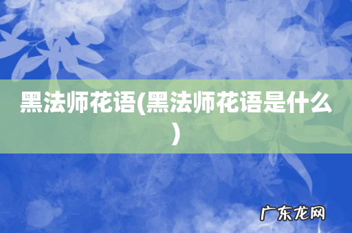 黑法师花语是什么 黑法师花语