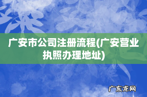 广安营业执照办理地址 广安市公司注册流程
