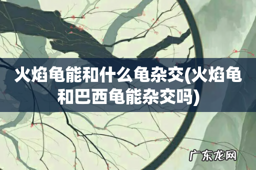 火焰龟和巴西龟能杂交吗 火焰龟能和什么龟杂交