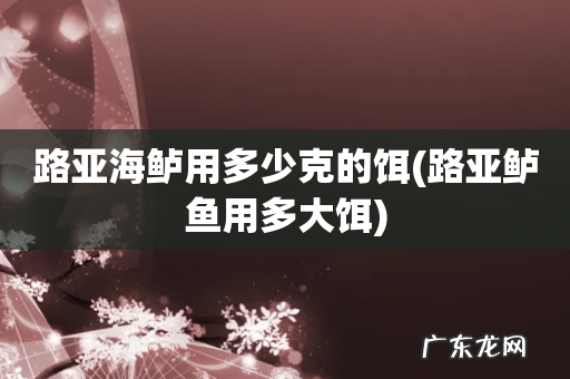 路亚鲈鱼用多大饵 路亚海鲈用多少克的饵
