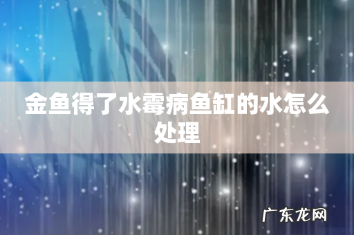 金鱼得了水霉病鱼缸的水怎么处理