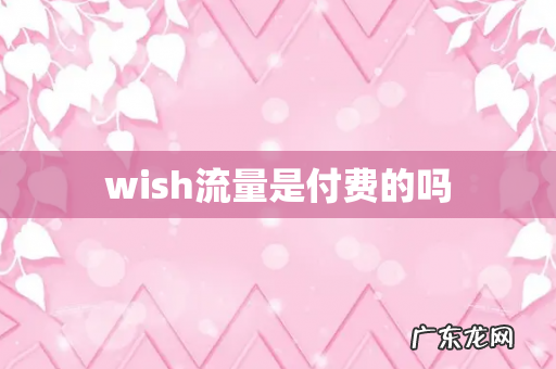wish流量是付费的吗
