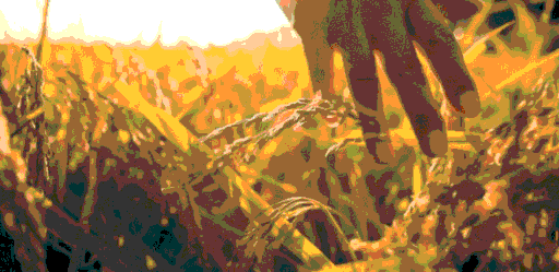 河南刘凤山 李凤风水大师