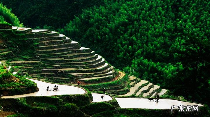 河南刘凤山 李凤风水大师