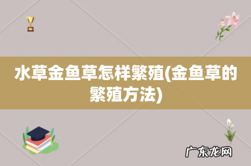 金鱼草的繁殖方法 水草金鱼草怎样繁殖