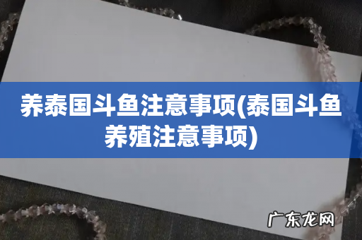 泰国斗鱼养殖注意事项 养泰国斗鱼注意事项