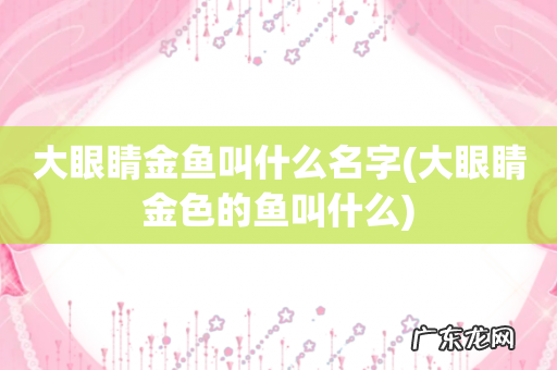 大眼睛金色的鱼叫什么 大眼睛金鱼叫什么名字