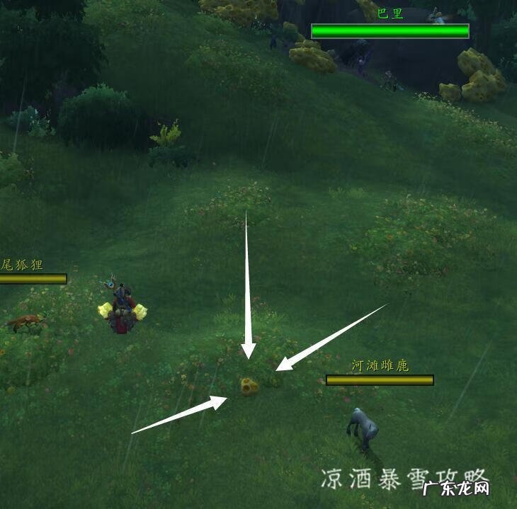 魔兽世界必刷坐骑 魔兽世界坐骑在哪里打开