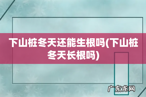 下山桩冬天长根吗 下山桩冬天还能生根吗