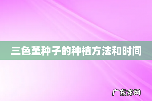三色堇种子的种植方法和时间