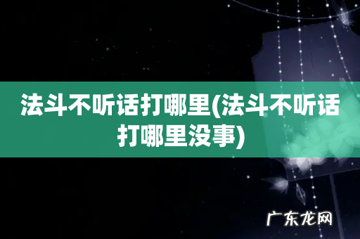 法斗不听话打哪里没事 法斗不听话打哪里