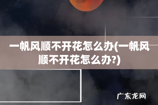一帆风顺不开花怎么办? 一帆风顺不开花怎么办