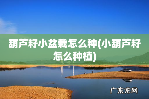 小葫芦籽怎么种植 葫芦籽小盆栽怎么种