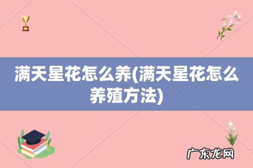 满天星花怎么养殖方法 满天星花怎么养