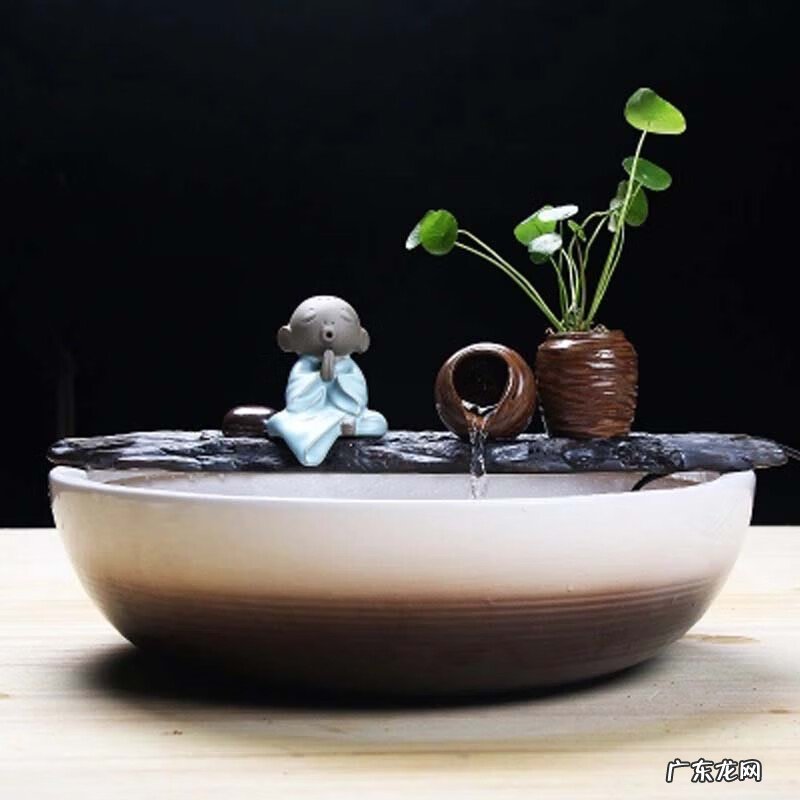 室内养花的风水讲究 风水轮盆景