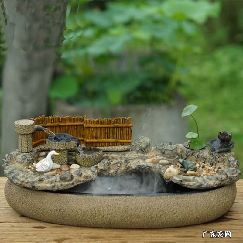 室内养花的风水讲究 风水轮盆景