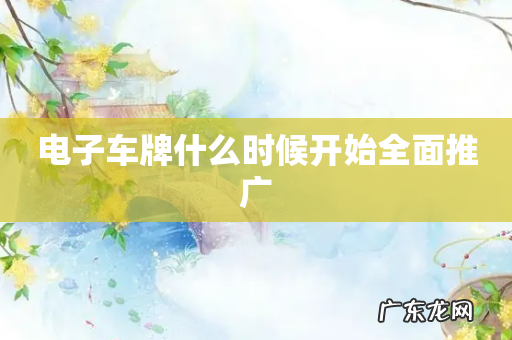 电子车牌什么时候开始全面推广