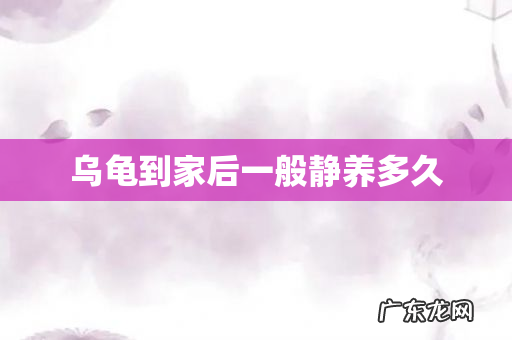 乌龟到家后一般静养多久