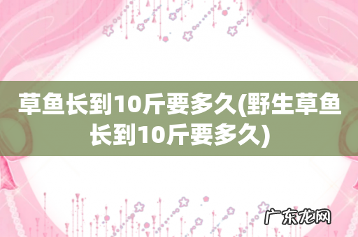 野生草鱼长到10斤要多久 草鱼长到10斤要多久